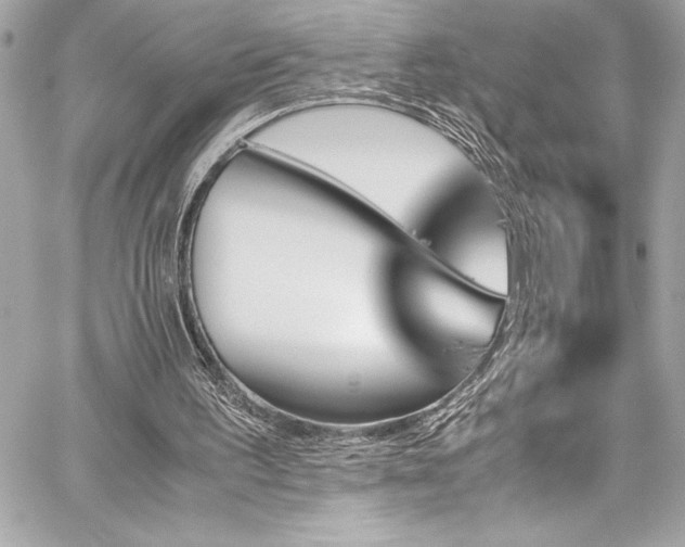 X0000060250195200510281153