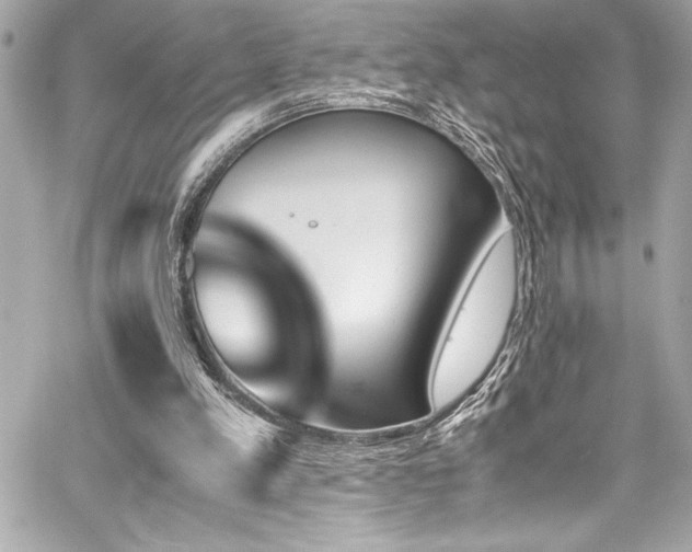 X0000060250197200510281153