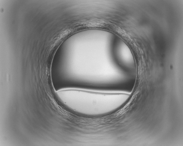 X0000060250201200510281153