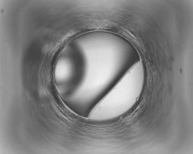 X0000060250203200510281153