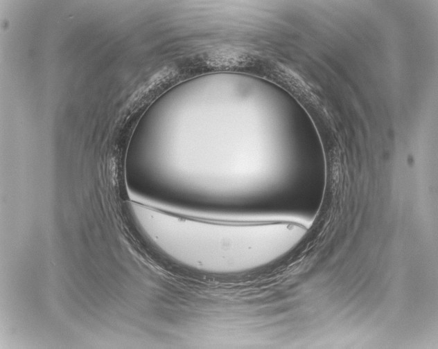 X0000060250211200510281153