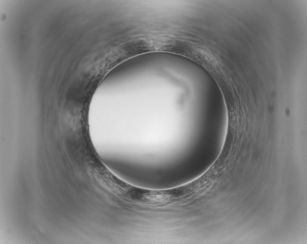 X0000060250221200510281152