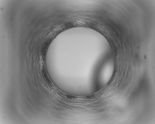 X0000060250223200510281152