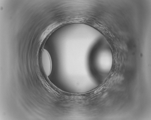 X0000060250242200510281151