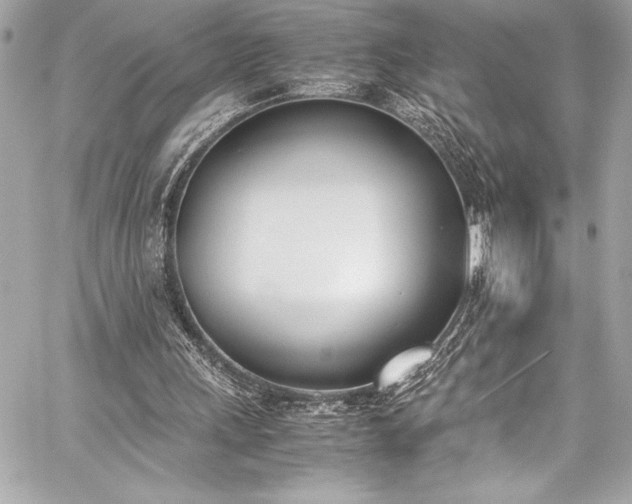 X0000060250243200510281151