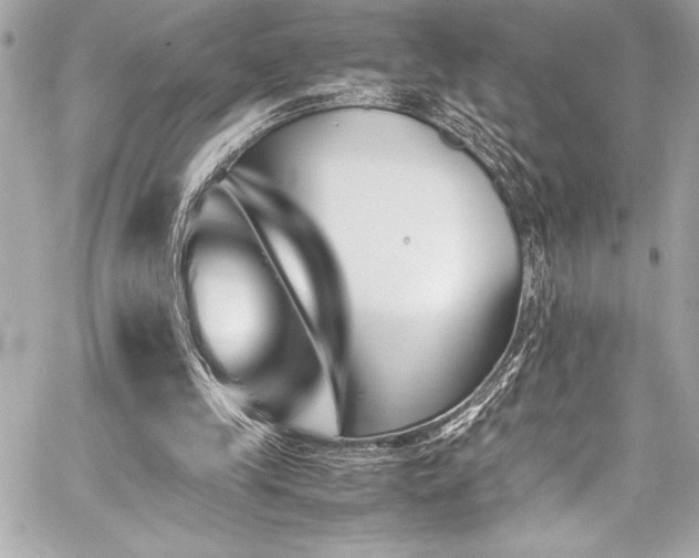 X0000060250245200510281151
