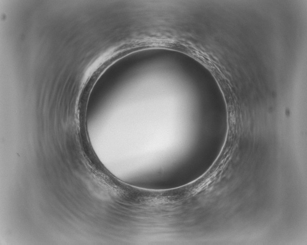 X0000060250246200510281151
