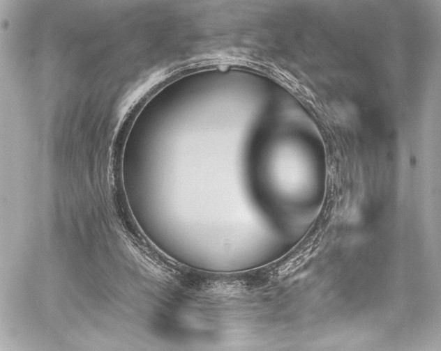 X0000060250248200510281151
