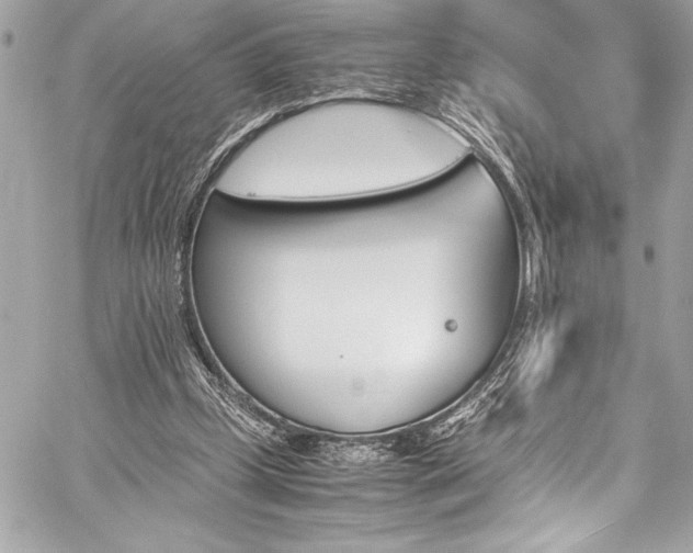 X0000060250249200510281151