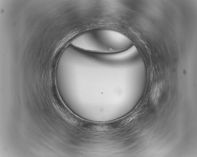 X0000060250250200510281151