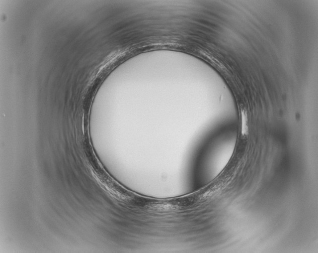 X0000060250253200510281151
