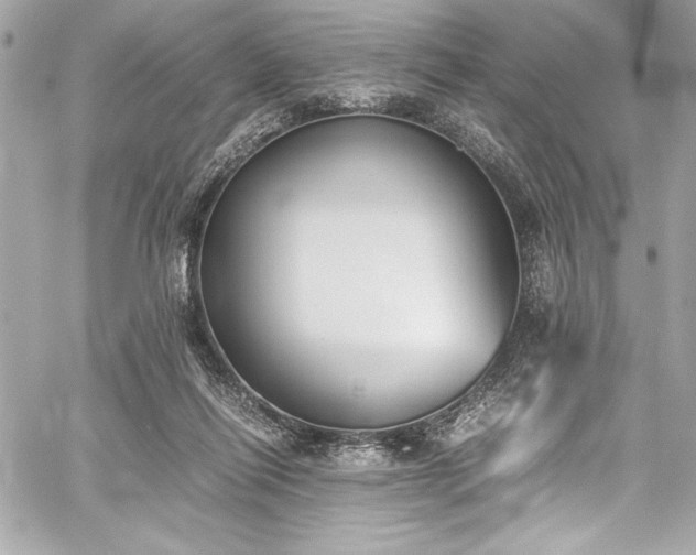 X0000060250262200510281152