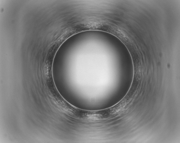 X0000060250268200510281152