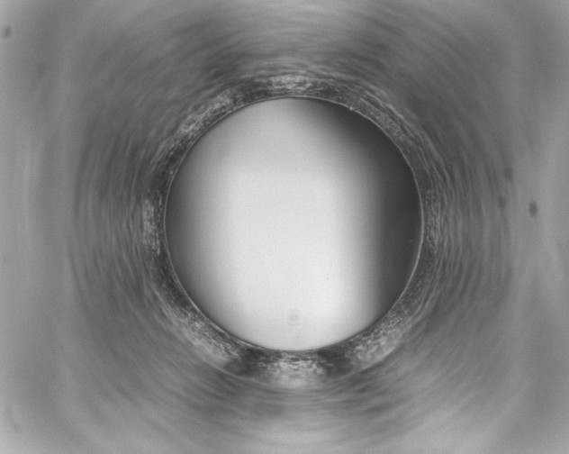 X0000060250270200510281152