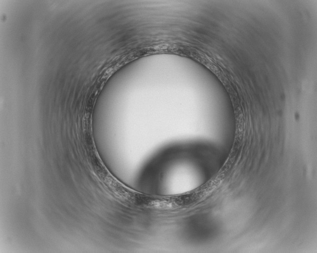 X0000060250272200510281152