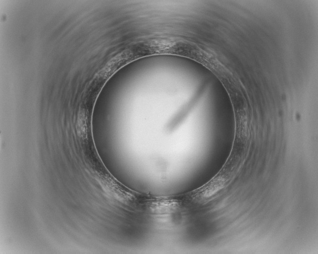 X0000060250274200510281152