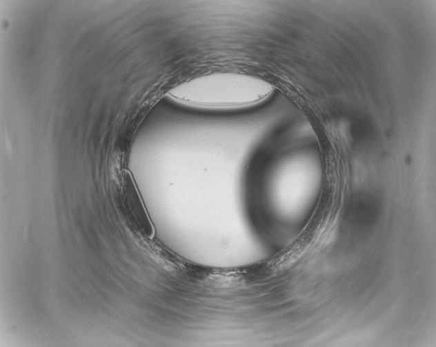 X0000060250280200510281152