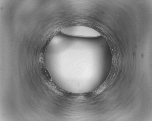 X0000060250284200510281152