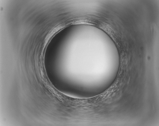 X0000060250289200510281151