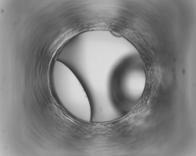 X0000060250290200510281151