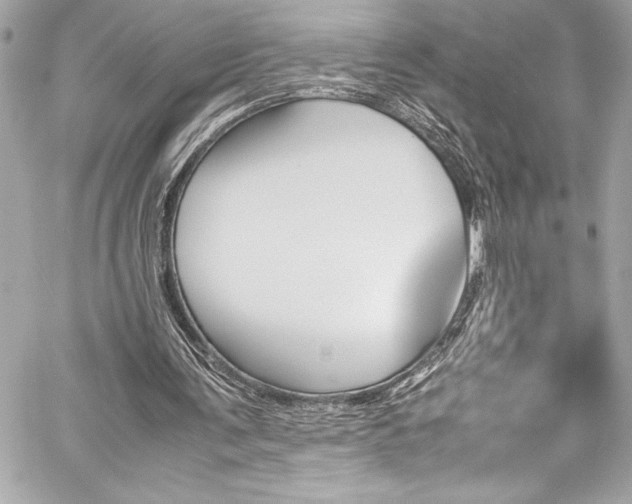 X0000060250291200510281151