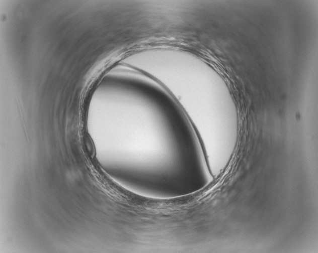 X0000060250293200510281151