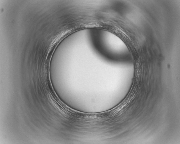 X0000060250298200510281151