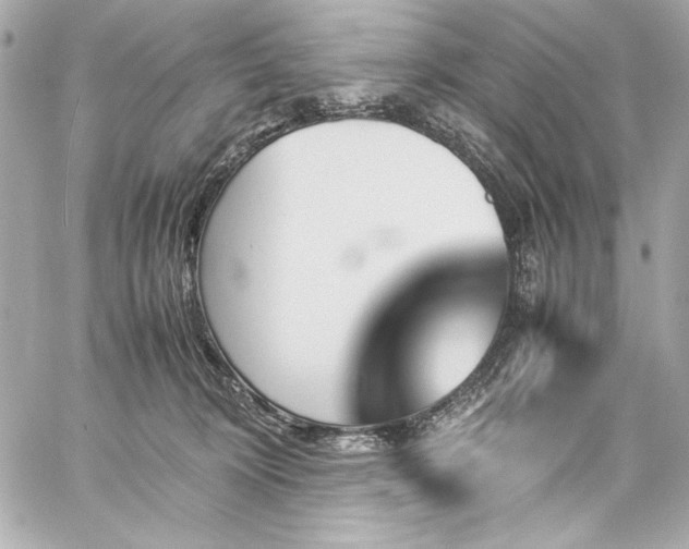 X0000060250324200510281151