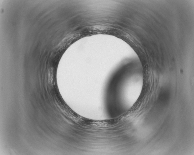 X0000060250328200510281151