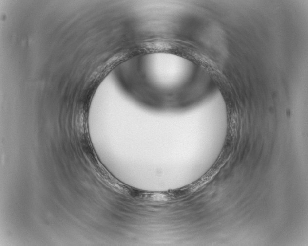X0000060250330200510281151