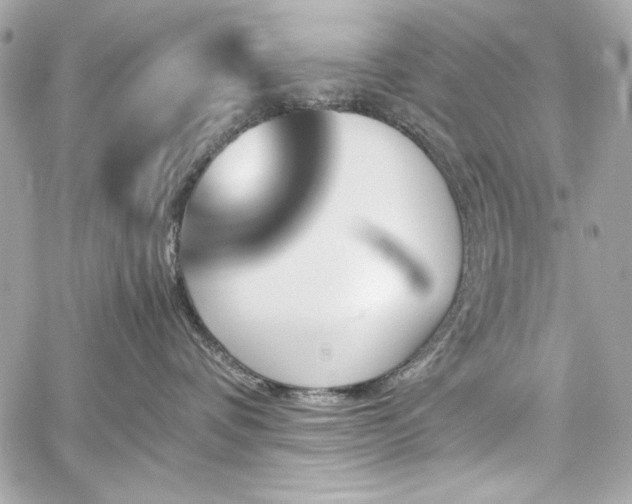 X0000060250336200510281150