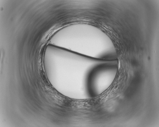X0000060250339200510281150