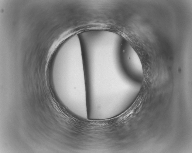 X0000060250343200510281150