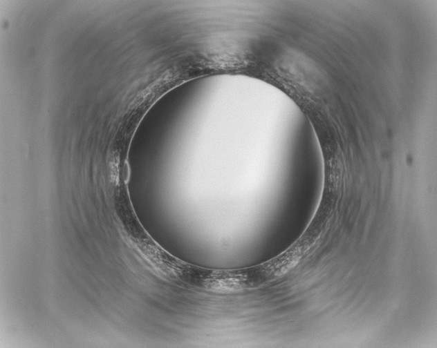 X0000060250368200510281150