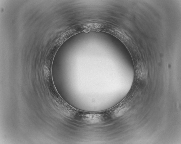 X0000060250371200510281150