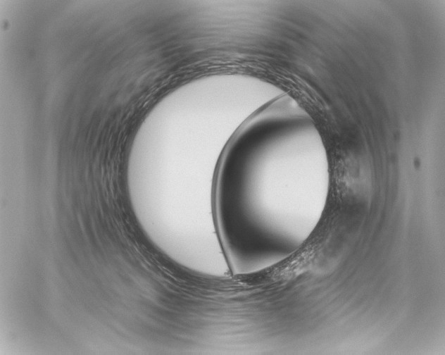X0000060250372200510281150