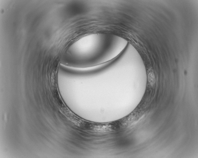 X0000060250375200510281150