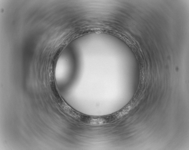 X0000060250376200510281150