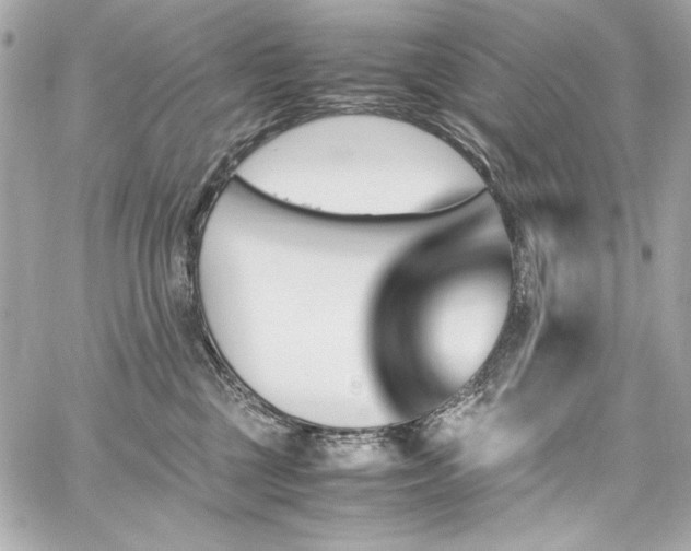 X0000060250377200510281150