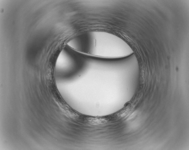 X0000060250379200510281150