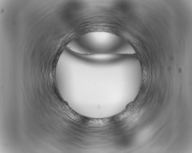 X0000060250381200510281150