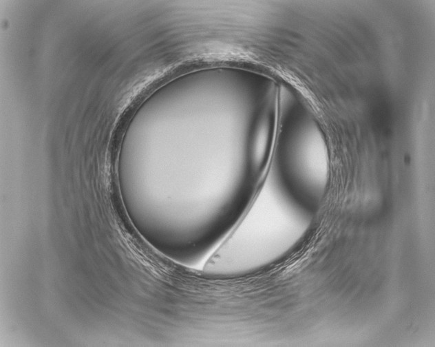 X0000060250391200510281150