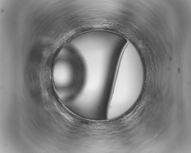 X0000060250397200510281149