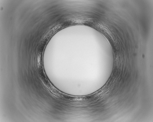 X0000060250406200510281149
