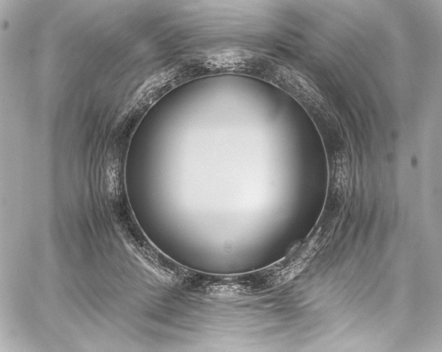 X0000060250408200510281149