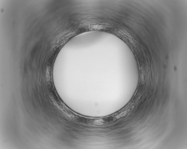 X0000060250410200510281149