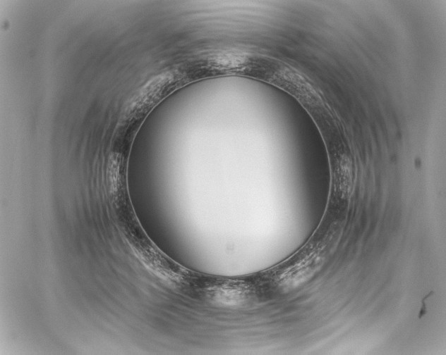 X0000060250412200510281149