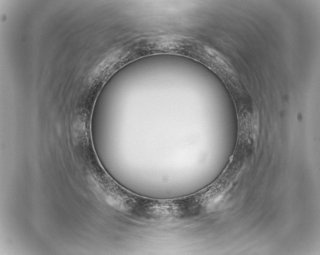 X0000060250415200510281149