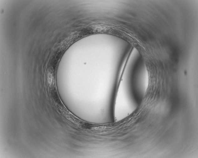 X0000060250417200510281149