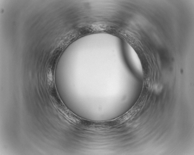 X0000060250418200510281149